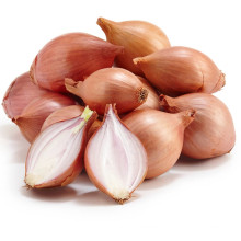 2021 New Harvest Natural Small Onion Export Chinese Fresh Shallot